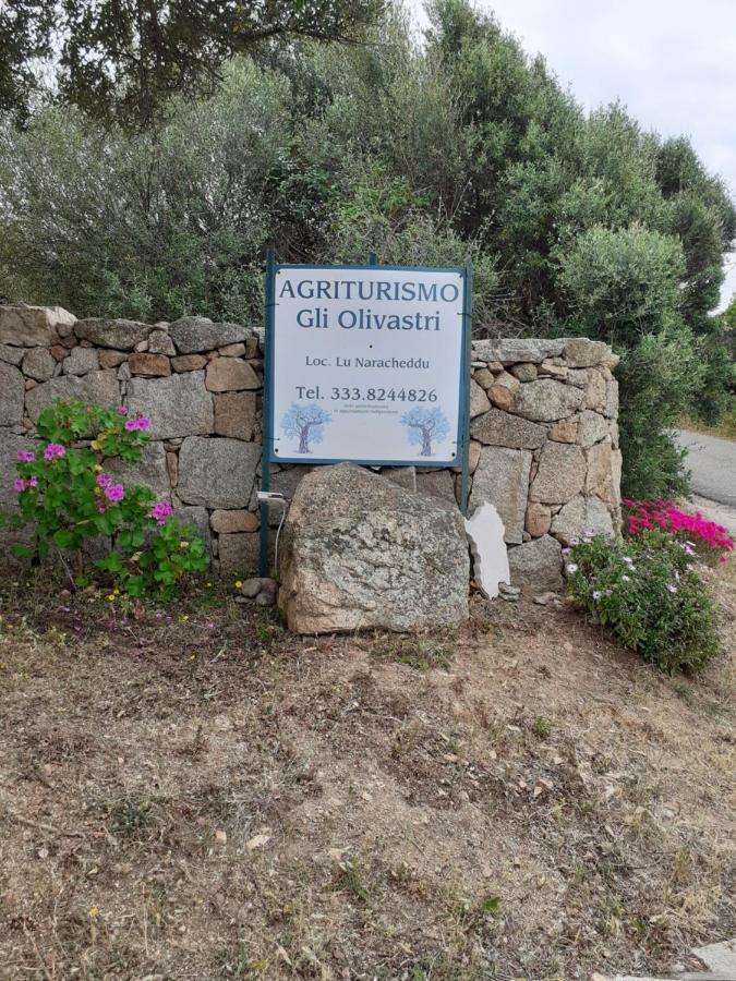 Gli Olivastri Con Piscina,Solarium, Vista Mare ,Sole -Mare E Tanta Natura ,Climatizzatore,Wifi Aglientu Buitenkant foto