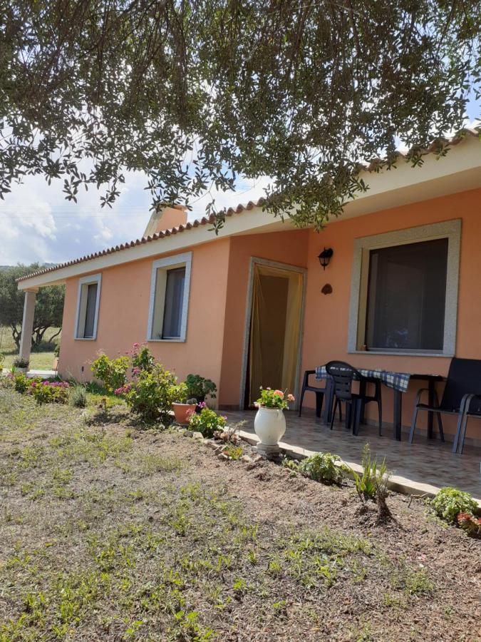 Gli Olivastri Con Piscina,Solarium, Vista Mare ,Sole -Mare E Tanta Natura ,Climatizzatore,Wifi Aglientu Buitenkant foto