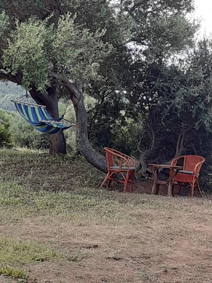 Gli Olivastri Con Piscina,Solarium, Vista Mare ,Sole -Mare E Tanta Natura ,Climatizzatore,Wifi Aglientu Buitenkant foto