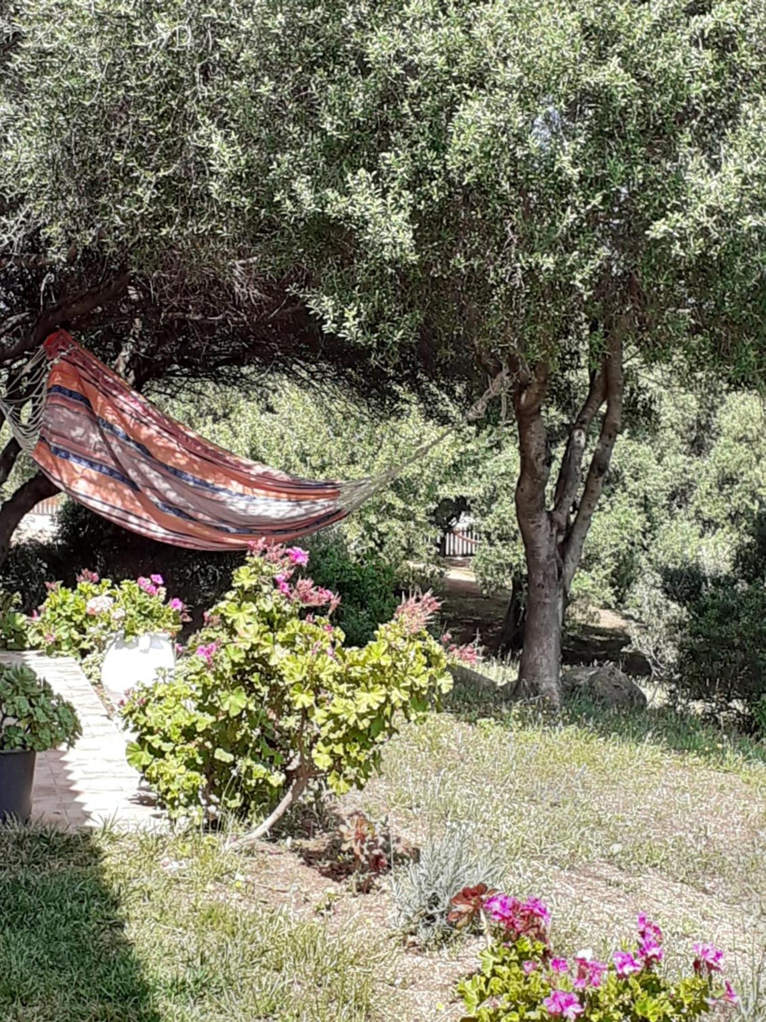 Gli Olivastri Con Piscina,Solarium, Vista Mare ,Sole -Mare E Tanta Natura ,Climatizzatore,Wifi Aglientu Buitenkant foto