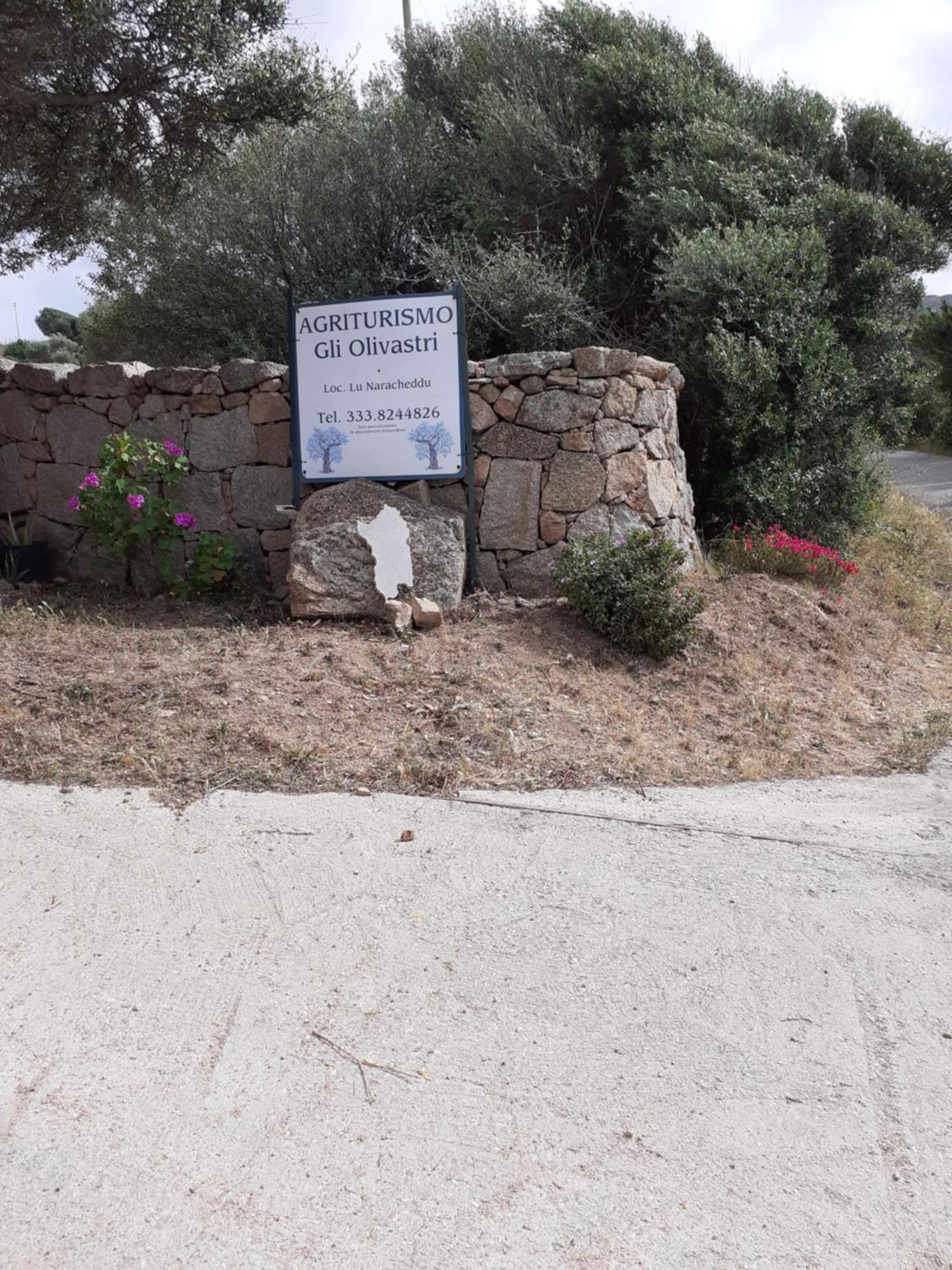 Gli Olivastri Con Piscina,Solarium, Vista Mare ,Sole -Mare E Tanta Natura ,Climatizzatore,Wifi Aglientu Buitenkant foto