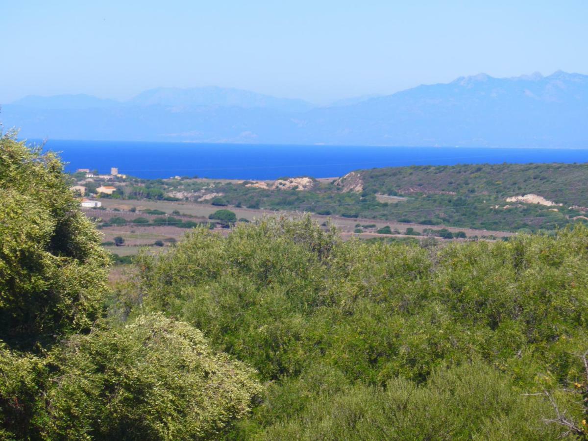 Gli Olivastri Con Piscina,Solarium, Vista Mare ,Sole -Mare E Tanta Natura ,Climatizzatore,Wifi Aglientu Buitenkant foto
