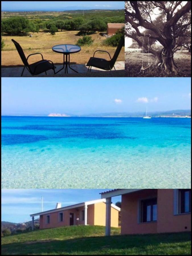 Gli Olivastri Con Piscina,Solarium, Vista Mare ,Sole -Mare E Tanta Natura ,Climatizzatore,Wifi Aglientu Buitenkant foto