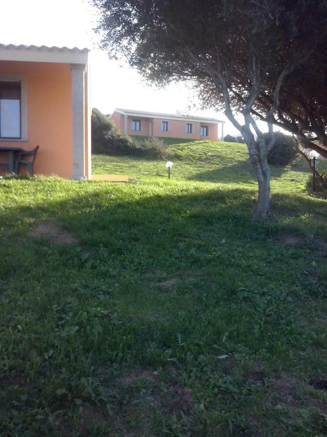 Gli Olivastri Con Piscina,Solarium, Vista Mare ,Sole -Mare E Tanta Natura ,Climatizzatore,Wifi Aglientu Buitenkant foto